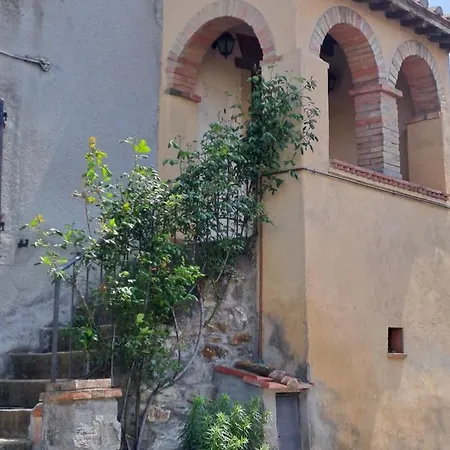 Nonna Zaira Seggiano